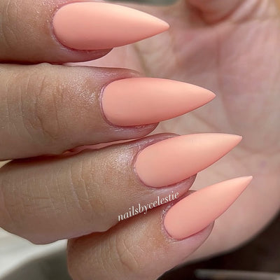The Matte Top Coat - Nail Reserve